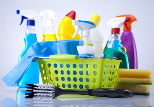 Professional cleaners in Brent working in a modern home