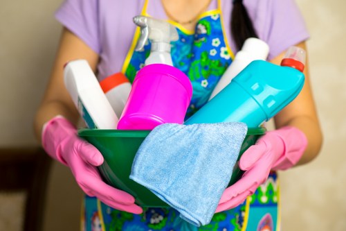 Professional carpets cleaner in Brent performing deep carpet cleaning in a home