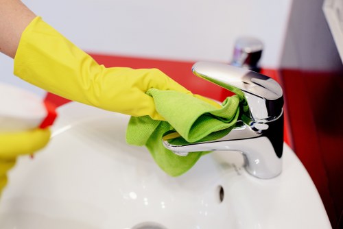 Regular window cleaning in Brent for homes and businesses