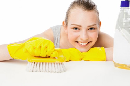 Professional sofa cleaning in a Brent living room