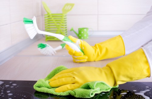 Service team assessing a carpet cleaning complaint