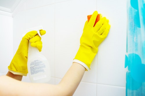 Professional carpet cleaning process details for booking and service conditions
