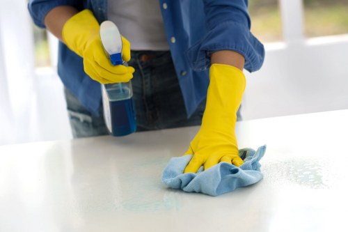 Final property inspection after end of tenancy cleaning in Brent